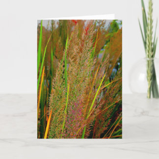 Cartão de nota da coleção da queda