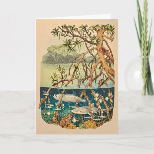 Cartão de Nota da Ilha de Mangue