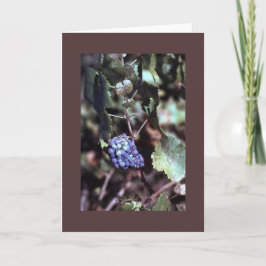 Cartão de nota da vinha