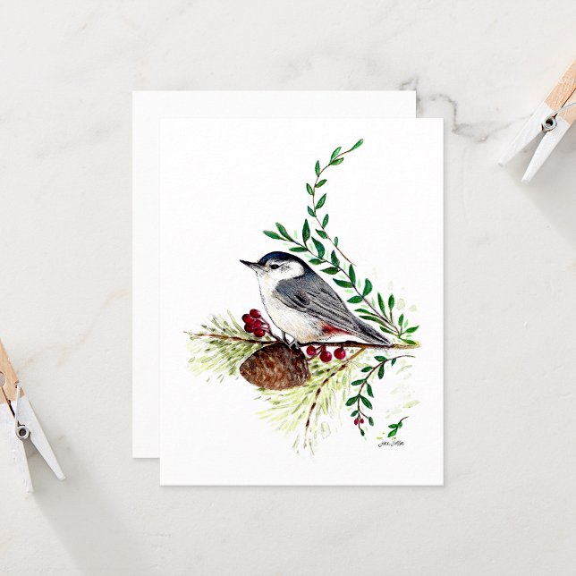 Cartão de Nota de Aquarela Bonita de Trepadeira-de (Nuthatch Beautiful Watercolor Blank Note Cards from Jenn Steffen Art)