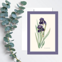Cartão de Nota de Arte Botânica Roxo Iris Germanic