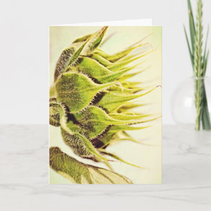 Cartão de Nota de Arte para Perfil Verde da Flor d