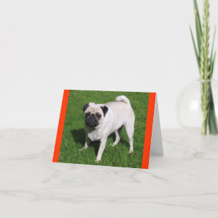 Cartão de Nota de Boas-Vindas com Cachorro Pug Fil