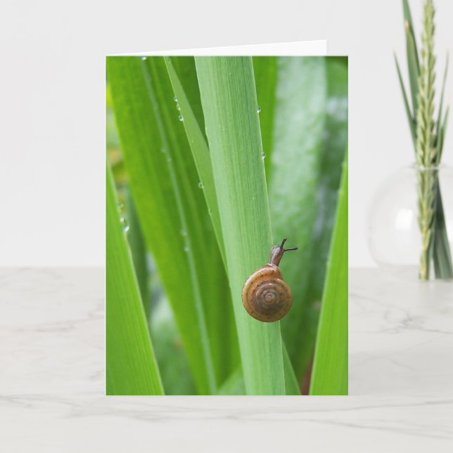 Cartão de Nota de Caracol do Jardim de Subida (Frente)