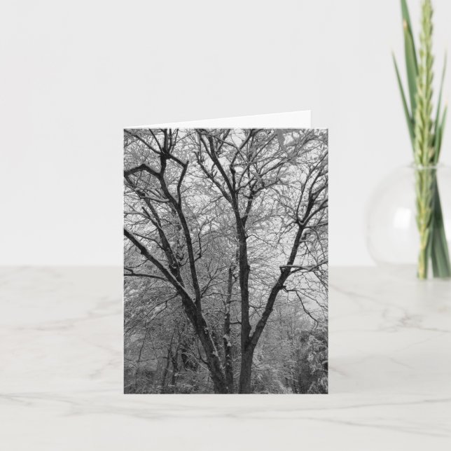 Cartão de Nota de Contornos de Neve Stark (Frente)