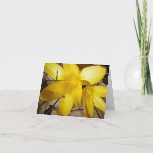 Cartão de Nota de Crocusa Amarelo (Frente)