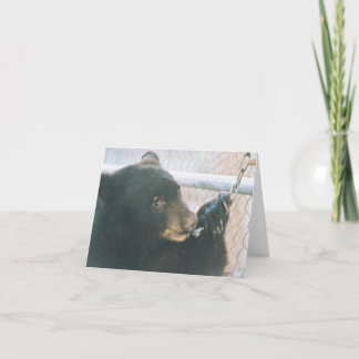 Cartão de nota de Cub de urso - corrente