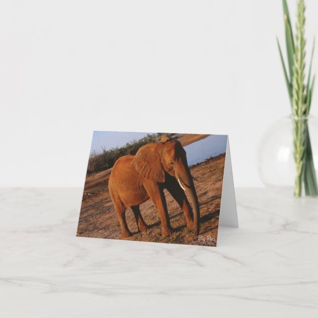 Cartão de Nota de Elefante Vermelho Grande (Frente)