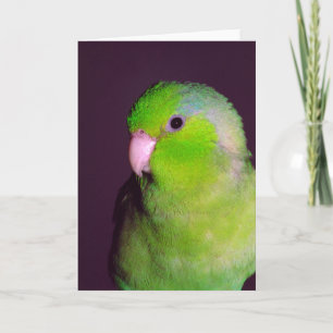 Cartão de Nota de Envio