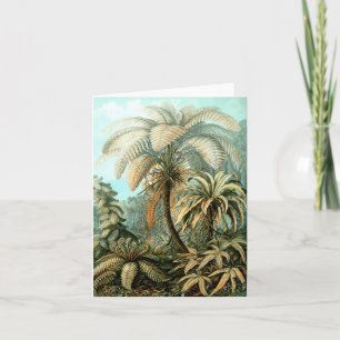 Cartão de Nota de Ernst Haeckel Filicinae (Tree Fe