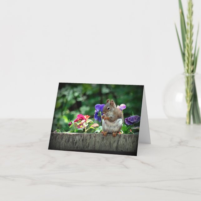 Cartão de nota de esquilo (Frente)