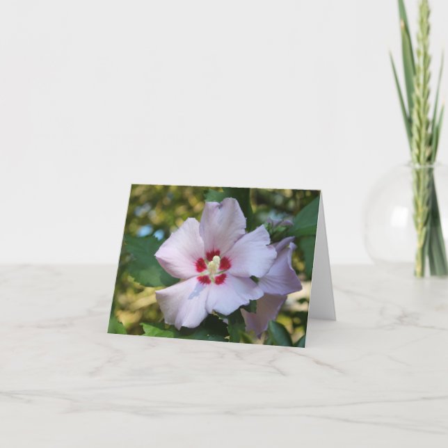 Cartão de nota de flor de hibiscus (Frente)