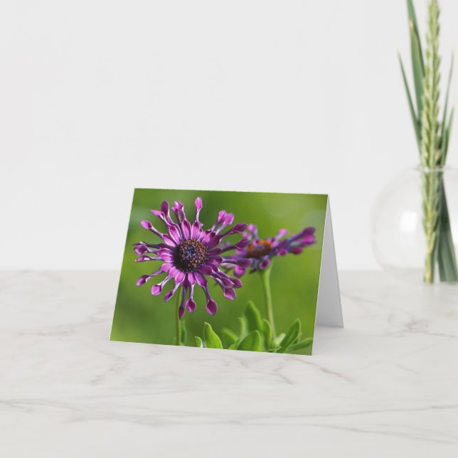 cartão de nota de flor púrpura (Frente)