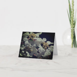 Cartão de Nota de Flores de Hydrangea do Boné de r
