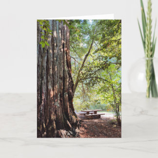 Cartão de Nota de Floresta Redwood