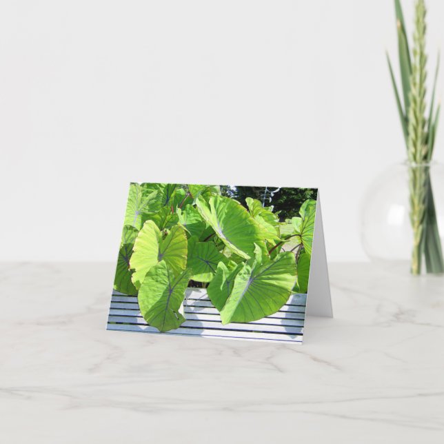 Cartão de Nota de Folhas Botânicas (Frente)