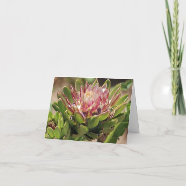 Cartão de Nota de Foto Dobrada com Flor Artichoke (Frente)