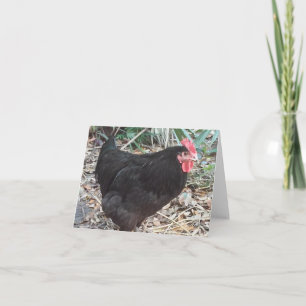 Cartão de Nota de Foto Dobrada de Frango de Cochin