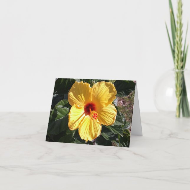 Cartão de Nota de Foto Dobrada de Hibiscus Amarelo (Frente)