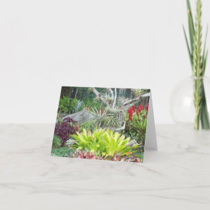 Cartão de Nota de Foto Dobrada do Jardim Arid