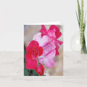 Cartão de Nota de Foto Dobrada do Rosa vermelha