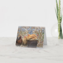 Cartão de Nota de Galinha