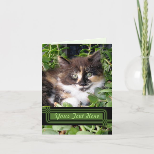 Cartão de Nota de Gato Olhado Verde (Frente)