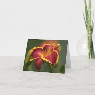 Cartão de nota de H. Jerry Provocação