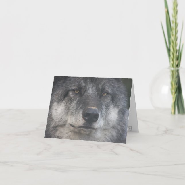 Cartão de nota de Himtuuqin (Frente)