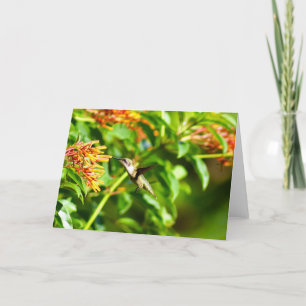 Cartão de Nota de Hummingbird<Blank Inside>