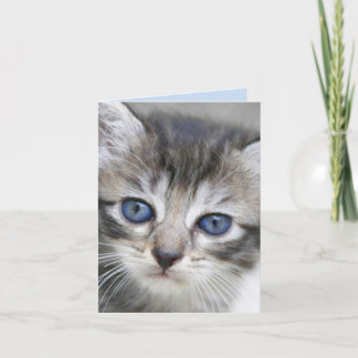 Cartão de Nota de Kitten