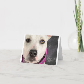 Cartão de nota de LDDR