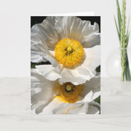Cartão de Nota de Matilija Poppy<Blank Inside>