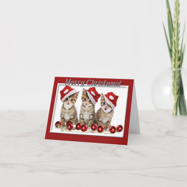 Cartão de Nota de Natal Kitten Santas (Frente)