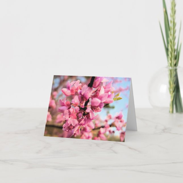 Cartão de nota de Oklahoma Redbud (Frente)