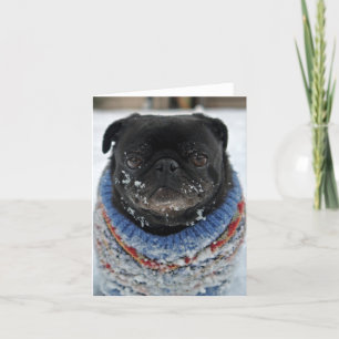 Cartão de Nota de Pug de Chilt - vazio
