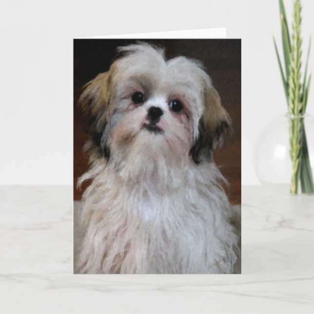 Cartão de nota de Shih Tzu (Frente)