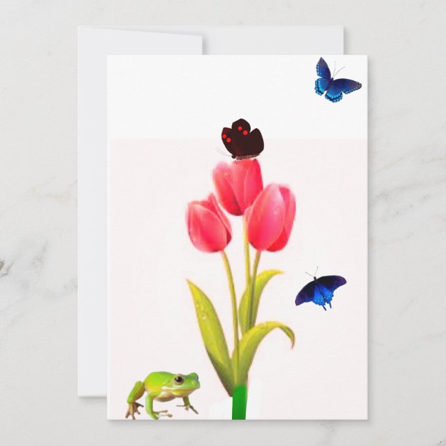 Cartão de Nota de Sumário (Frente)