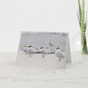 Cartão de Nota de Terns Real