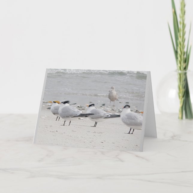 Cartão de Nota de Terns Real (Frente)
