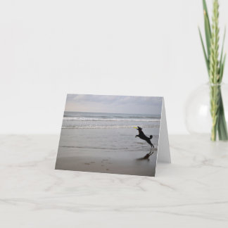 Cartão de nota de travamento do Frisbee da praia