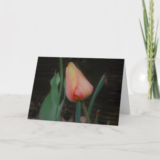 Cartão de Nota de Tulipa Única (Frente)