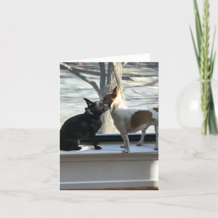 cartão de nota de vazio