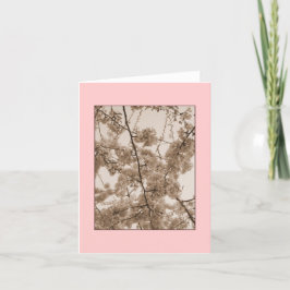 Cartão de Nota de Vazio com Tinted 'Cherry Blossom