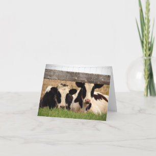 Cartão de nota de vazio com vacas