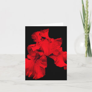 Cartão de Nota de Vazio de Arte Flor Red Hot Iris