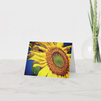Cartão De Nota De Vazio De Girassol E Flor De Conv