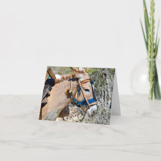 Cartão de nota de vazio Donkey Baie d'Orange Haiti