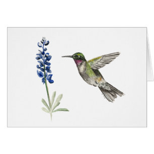 Cartão de Nota de Vazio Hummingbird e Bluebonnet