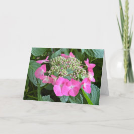 Cartão de Nota de Vazio Hydrangea Blooming